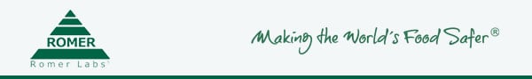eMail_logo_header_2019-04